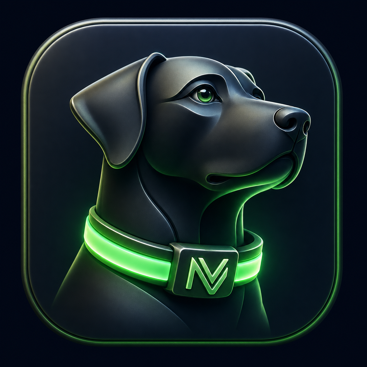 Logo NOVA VITAL BOOST